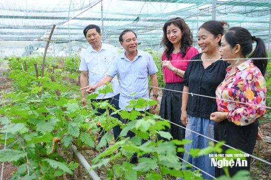Ban Tuyên giáo và Dân vận Tỉnh ủy, Hội Nhà báo tỉnh tổ chức đoàn  thực tế, xây dựng đề tài tuyên truyền về công tác xây dựng Đảng