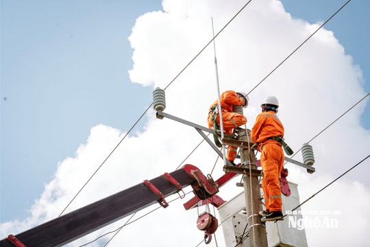 Công ty Điện lực Nghệ An tăng cường công tác giải phóng hành lang an toàn lưới điện, giảm tổn thất điện năng