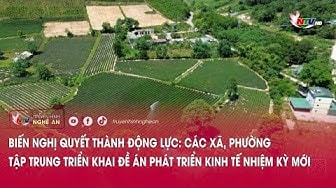 Biến Nghị quyết thành động lực: Các xã, phường tập trung triển khai đề án phát triển kinh tế nhiệm kỳ mới