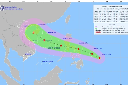 Nghệ An chủ động ứng phó với bão BUALOI gần Biển Đông