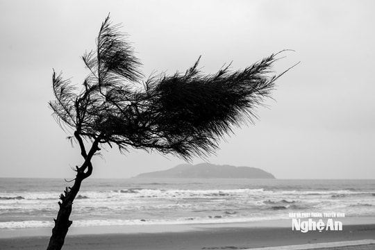 Siêu bão Ragasa sẽ gây mưa vừa đến mưa to, có nơi mưa rất to ở Nghệ An