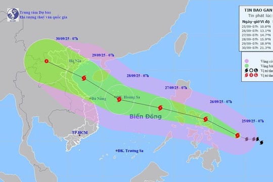 Chuyên gia nhận định về BÃO BUALOI - BÃO SỐ 10 và các chỉ đạo ứng phó