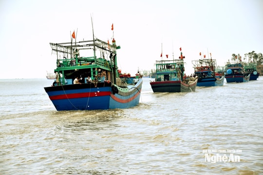 Thủ tướng yêu cầu 'tuyên chiến' với khai thác hải sản bất hợp pháp