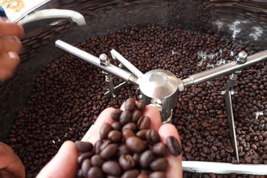 Giá cà phê hôm nay 27/9/2025: Lại quay đầu giảm