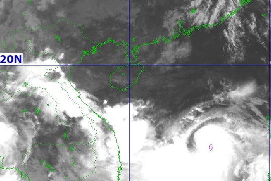 Thường trực Tỉnh ủy Nghệ An yêu cầu chủ động, tập trung ứng phó với cơn bão số 10 (Bualoi)