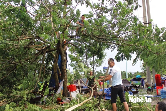 Nghệ An được dự báo nằm trong vùng trọng tâm chịu ảnh hưởng của bão số 10