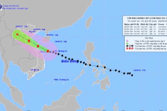 TIN MỚI NHẤT VỀ BÃO SỐ 10: Từ ngày 28/9 đến 30/9, tỉnh Nghệ An có mưa to đến rất to và dông