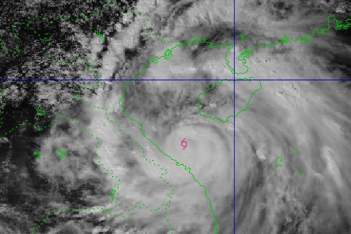 Tin bão khẩn cấp: Bão số 10 BUALOI cấp 12, giật cấp 15 đang hướng vào Nghệ An - bắc Quảng Trị