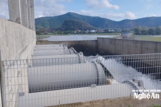 Khu kinh tế Đông Nam đôn đốc các doanh nghiệp chủ động ứng phó bão số 10