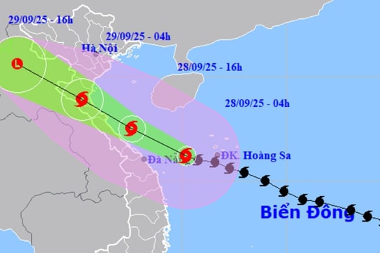 Thủ tướng: Thành lập Ban chỉ đạo tiền phương tại các tỉnh có tâm bão số 10 đi qua