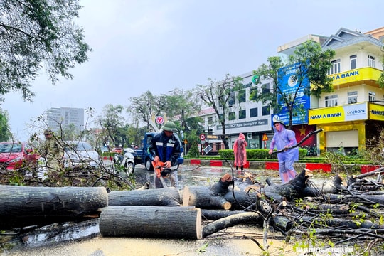 Nghệ An khẩn trương thu dọn cây xanh gãy đổ sau bão số 10, đảm bảo an toàn cho người dân