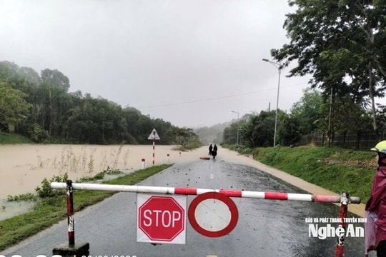 Toàn cảnh thiệt hại bão số 10 trên địa bàn tỉnh Nghệ An