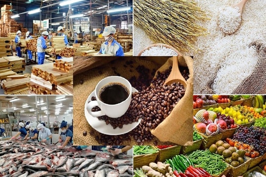 Tin tức thị trường, giá cả hàng hóa hôm nay 30/9/2025