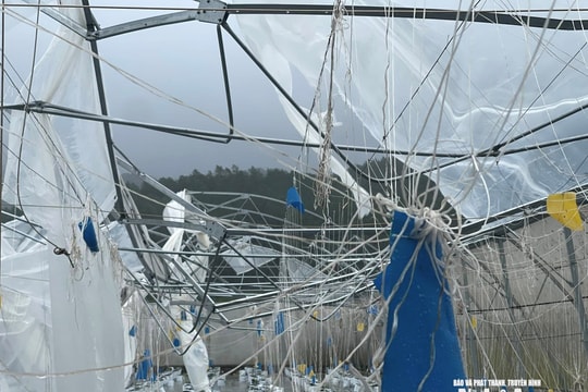 Nghệ An: Nhiều nhà màng chịu thiệt hại nặng nề sau bão số 10