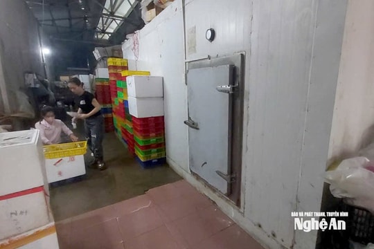 Hải sản cấp đông giảm chất lượng vì mất điện dài ngày
