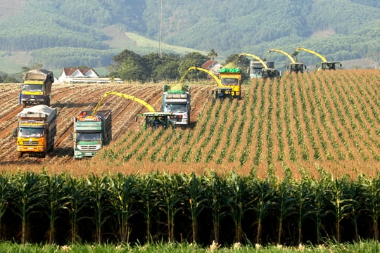 Ngành ngân hàng Nghệ An: Dòng chảy tài chính tiếp sức khát vọng phát triển tỉnh nhà