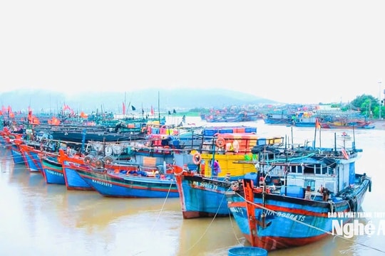 Nghệ An cấm các loại tàu thuyền và phương tiện vận tải ra khơi từ 10 giờ, ngày 5/10