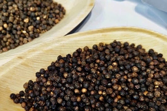 Giá tiêu hôm nay 3/10/2025: Xuất khẩu tăng cao kỷ lục