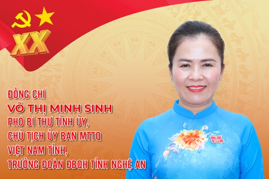 Infographic: Chân dung đồng chí Võ Thị Minh Sinh - Phó Bí thư Tỉnh ủy Nghệ An khóa XX
