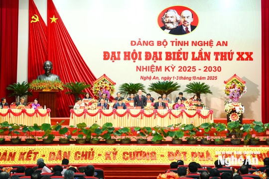 Bố trí Chủ tịch UBND cấp tỉnh không phải người địa phương xong trước ngày 15/12