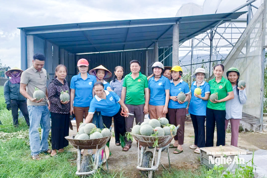 Người dân chung tay "giải cứu" nông sản sau bão, lũ