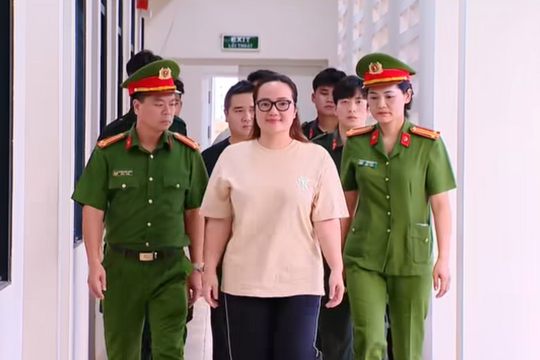 Khởi tố bà Hoàng Hường