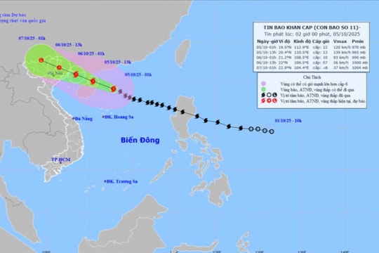 Tin về cơn bão số 11: Từ ngày 06 đến đêm 07/10, tỉnh Nghệ An có mưa vừa, có nơi mưa to