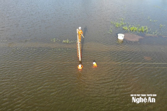 Công ty Điện lực Nghệ An đã cấp điện trở lại cho 90% khách hàng