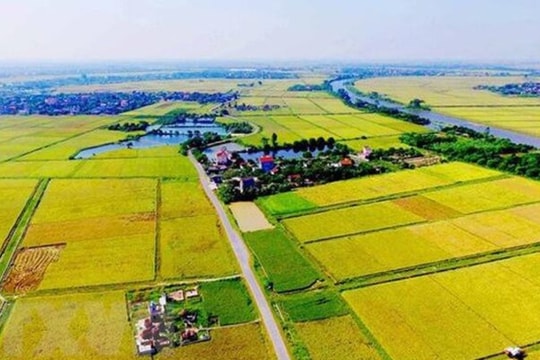 Theo quy định mới nhất có thể xây mộ trên đất trồng lúa được không?