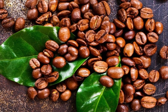 Giá cà phê hôm nay 6/10/2025: Một tuần tăng mạnh