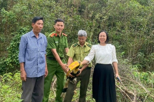 Bắt được chim lạ, người dân Nghệ An thả về rừng