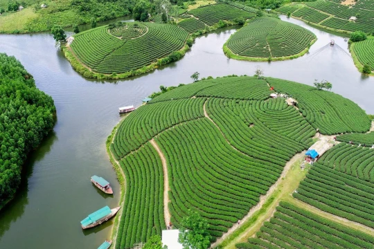 Thời tiết Nghệ An ngày 10/10: Chiều và đêm có mưa rào và dông vài nơi