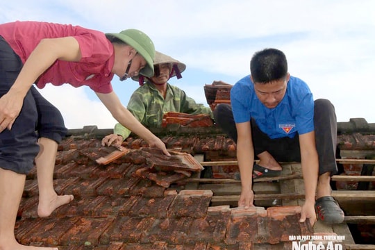 Người dân Nghệ An tất bật sửa lại nhà, sớm ổn định cuộc sống sau bão