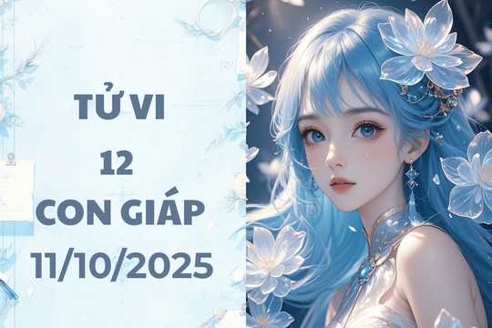 Tử vi 12 con giáp thứ Bảy 11/10/2025: Tý mạnh mẽ, Thìn lạc quan