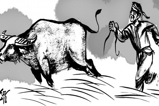 Truyện ngắn: Thằng mõ trâu phần 2