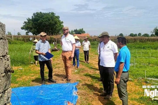 Thống nhất kiện toàn mô hình khuyến nông trước ngày 30/10/2025