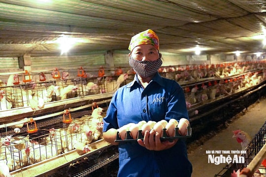 Sức bật từ phong trào nông dân Nghệ An thi đua sản xuất, kinh doanh giỏi