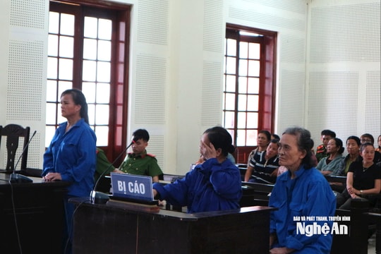 Em gái kéo chị vào đường dây buôn gần 5kg ma túy