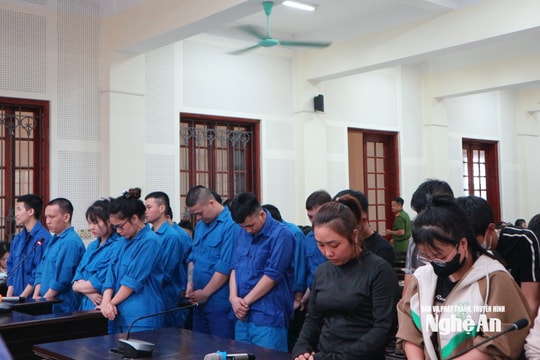 Nghệ An: 33 bị cáo hầu tòa trong vụ lừa đảo bằng kịch bản giả danh cơ quan tố tụng từ Campuchia