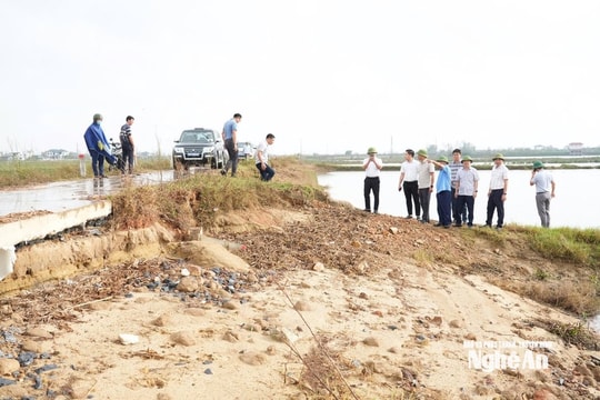 Đê sông, đê biển ở Nghệ An trước thách thức thiên tai