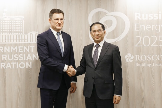 Chính phủ Nga cam kết triển khai sớm, hiệu quả thỏa thuận cấp cao với Việt Nam