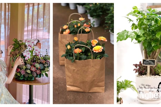 Thị trường Nghệ An dịp 20/10: Chậu cây mini, lan hồ điệp, mỹ phẩm thiên nhiên "lên ngôi"