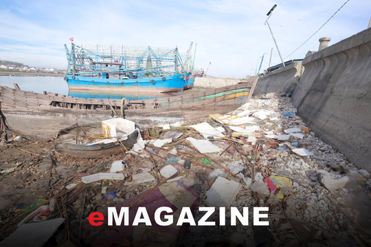 Kỳ 1: Cái giá đắt của sự tiện lợi!