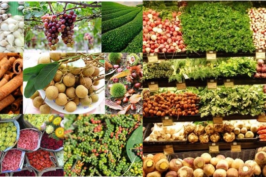 Giá nông sản hôm nay 23/10/2025: Giá lúa gạo xuất khẩu giảm, cao su bật tăng