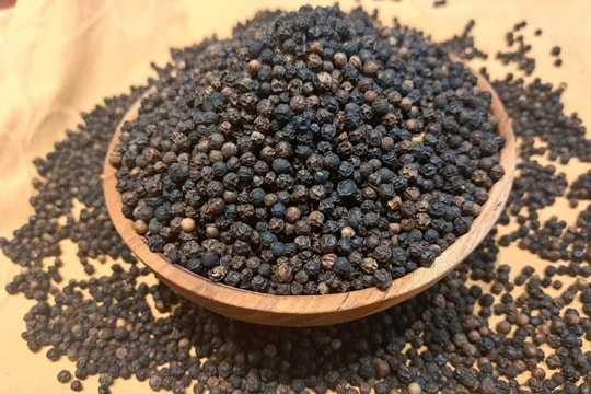 Giá tiêu hôm nay 25/10/2025: Giảm mạnh tới 3500 đồng/kg