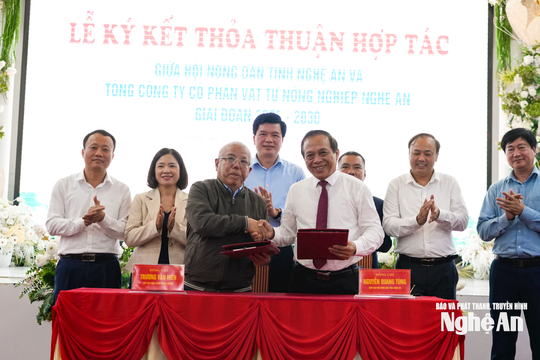 Nghệ An phát huy hiệu quả chương trình cho nông dân vay phân bón trả chậm