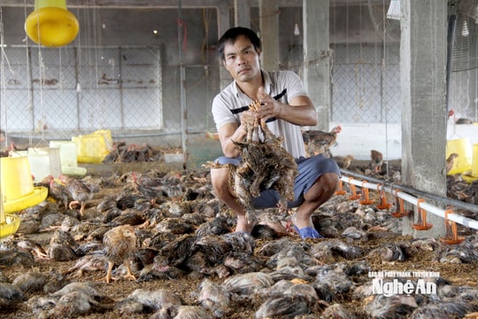 Các địa phương khẩn trương hoàn thiện hồ sơ chính sách hỗ trợ người dân bị ảnh hưởng do thiên tai