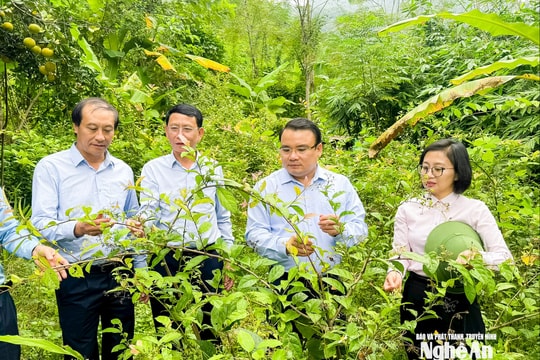 Phó Chủ tịch UBND tỉnh Phùng Thành Vinh kiểm tra, tháo gỡ khó khăn vận hành chính quyền địa phương 2 cấp tại các xã miền Tây Nghệ An