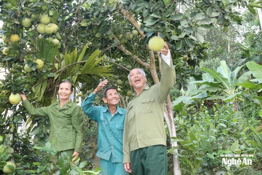 Chăm sóc và phát huy vai trò người cao tuổi trong tình hình mới
