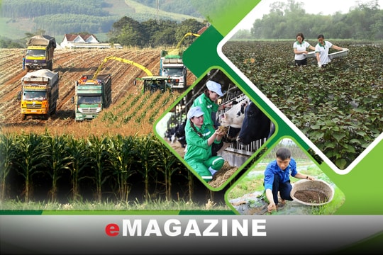 Kinh tế tuần hoàn - chìa khóa chiến lược trong thời kỳ biến đổi khí hậu - Bài 2: Khẳng định hiệu quả của kinh tế tuần hoàn